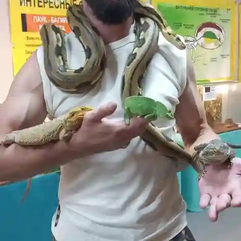 Евгений Хомутов