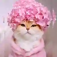 Гуля