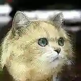 Алексей Бородин