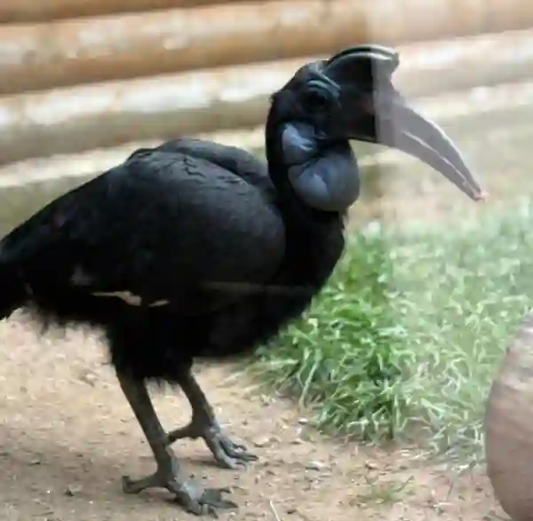 Игорь Иванов_3