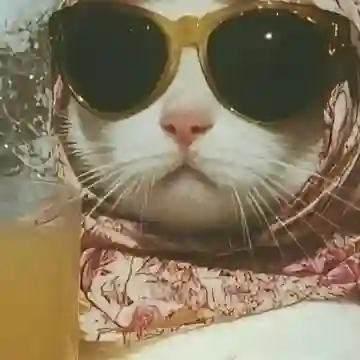 МамаЛама