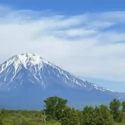 Олег Устинов