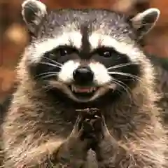 Митрий Хитрый