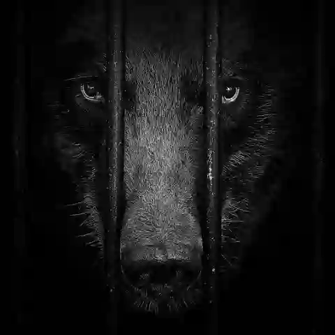 Владимир Иванов