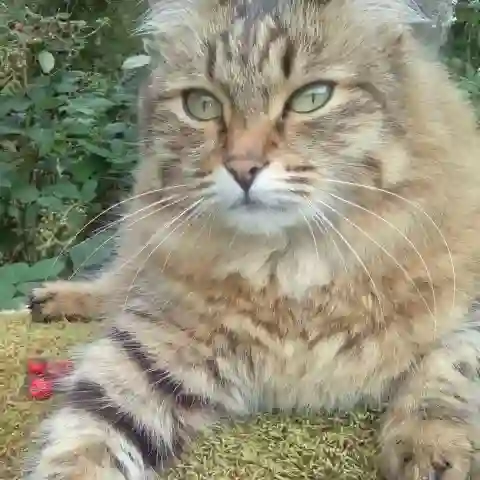 Марина Иванова