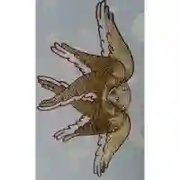 Алла А.