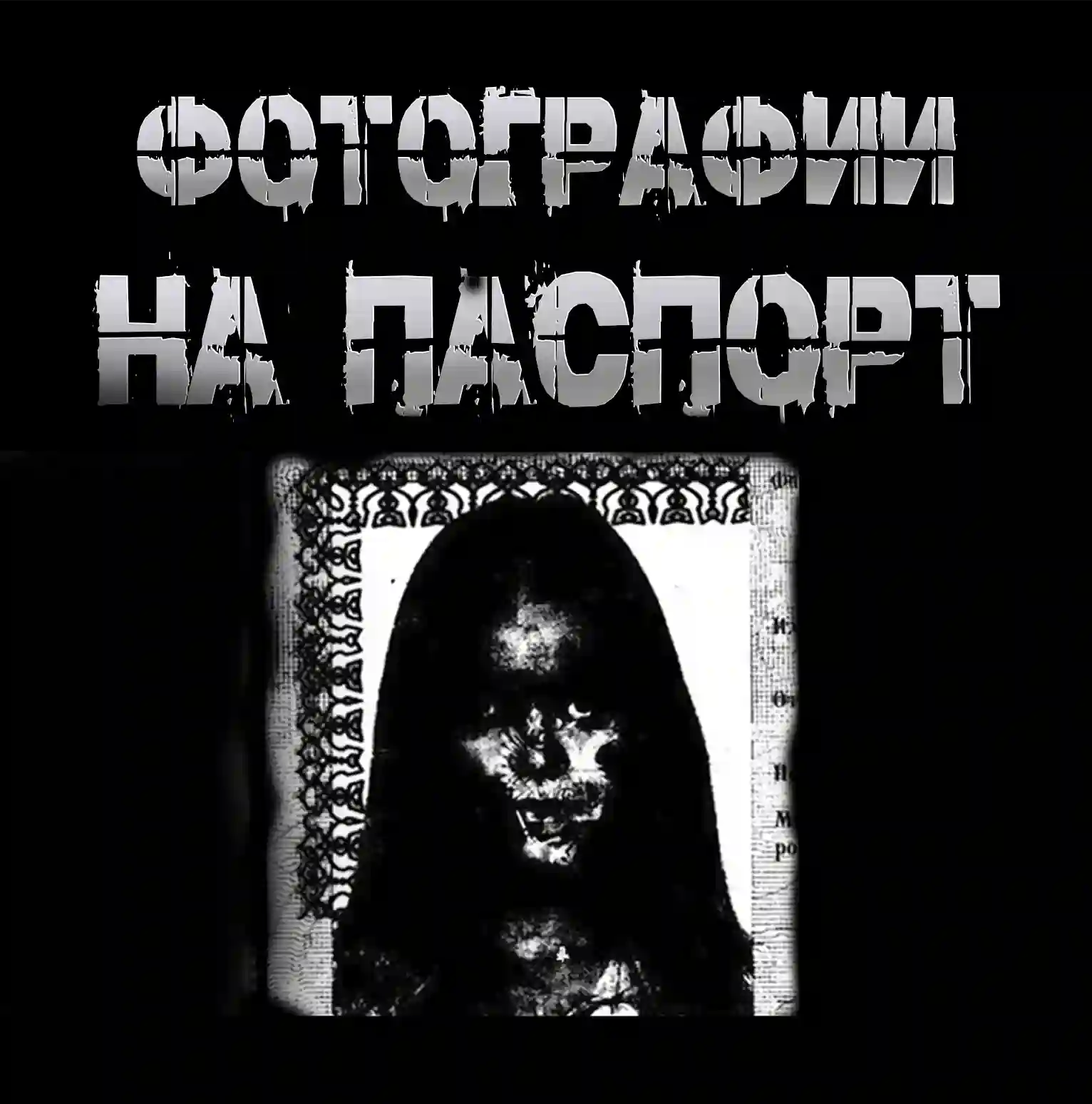 Фотографии на паспорт - Пучок Перцепций