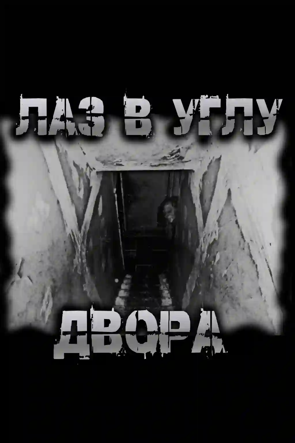 Лаз в углу двора - Чёрный Роман